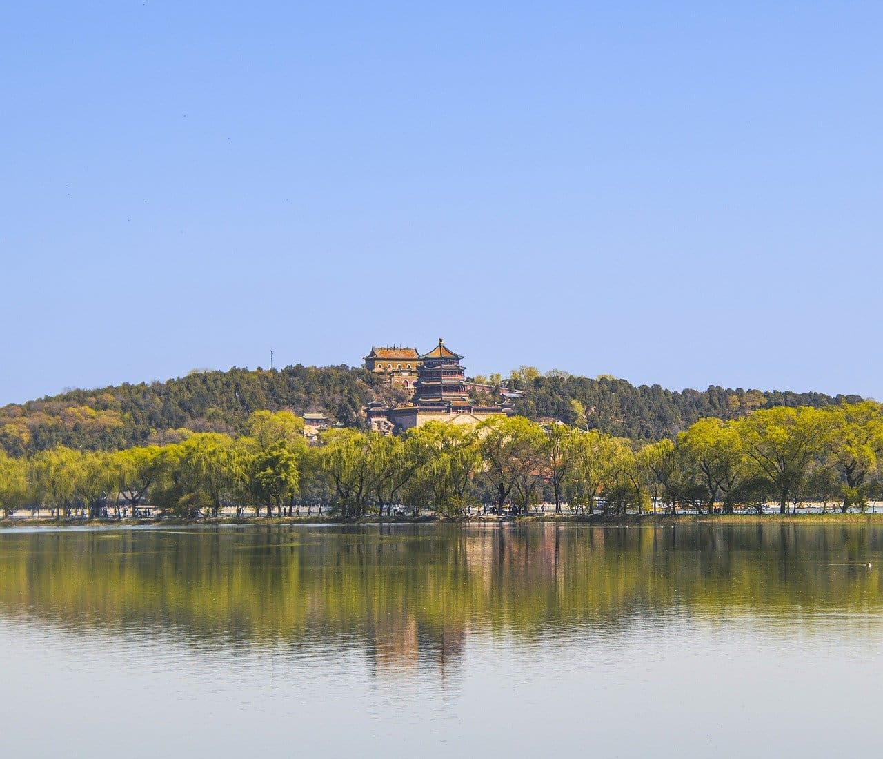 Longevity Practices From Around The World