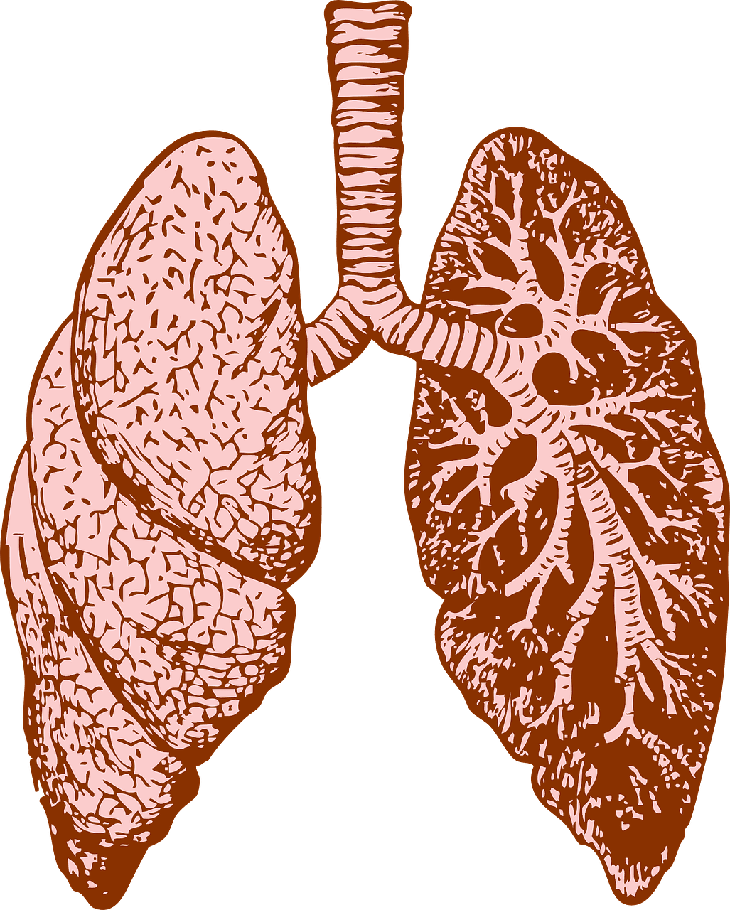Managing Chronic Cardiovascular Disorders: Tips For Heart Health Managing Chronic Cardiovascular Disorders: Tips For Heart Health