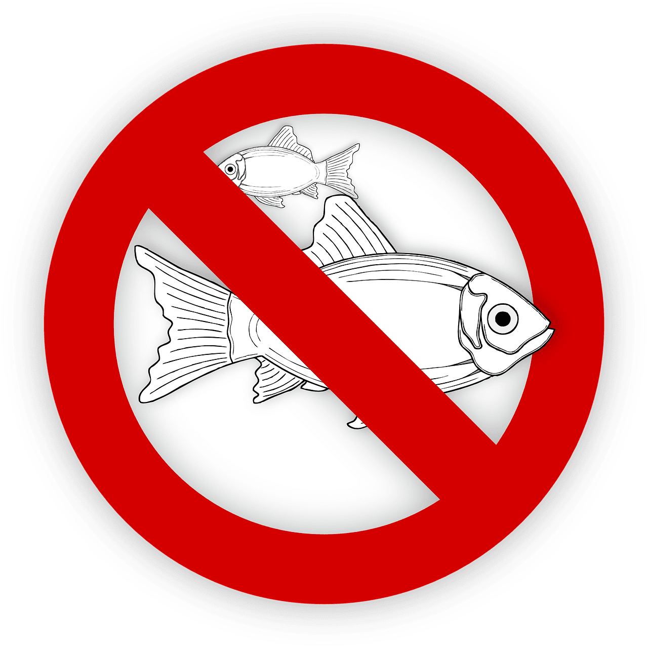 Most Effective Ways To Prevent Allergies