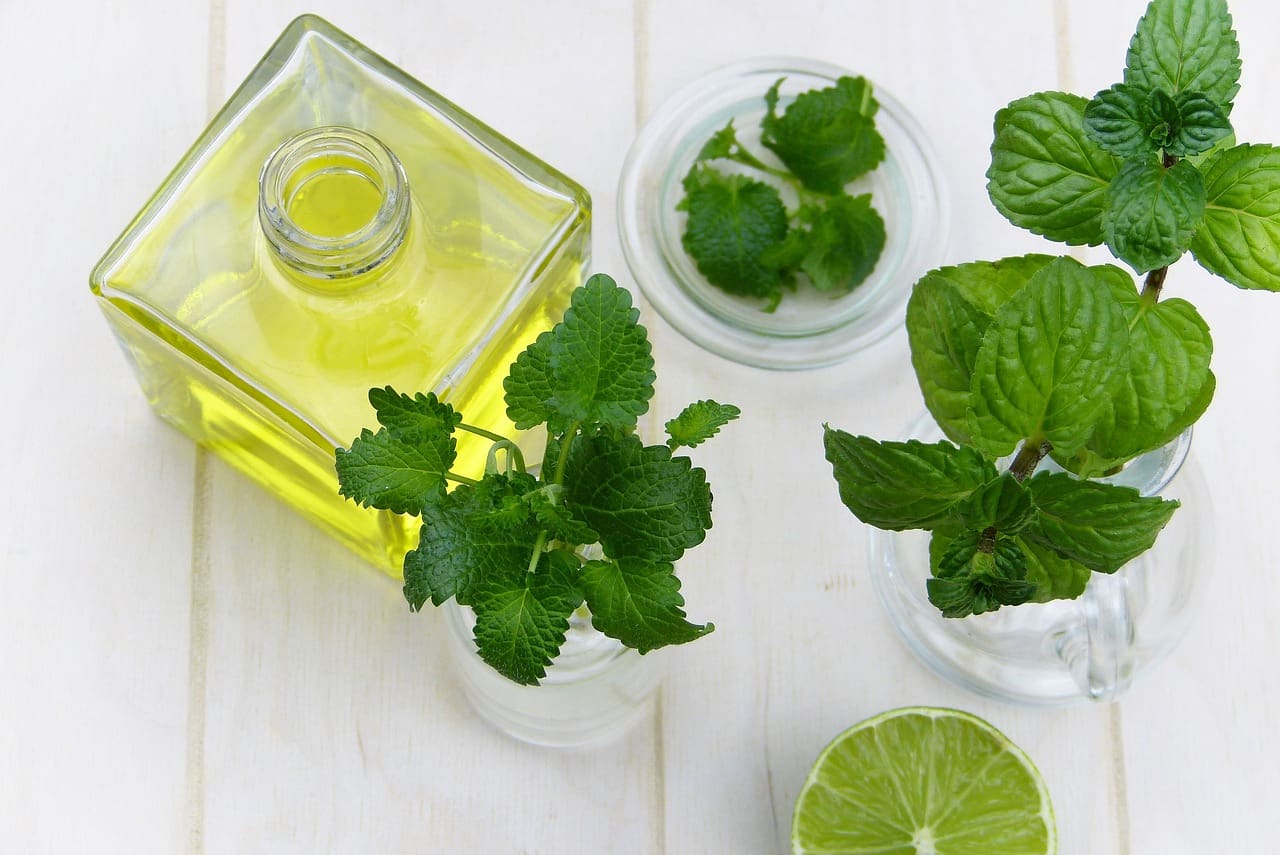 Most Popular Alternative Medicine Treatments