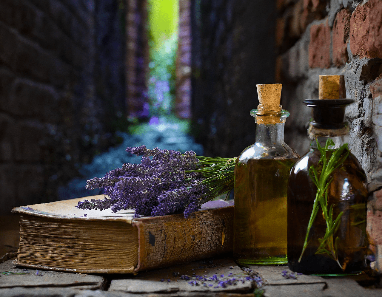Most Popular Essential Oils For Women’s Health