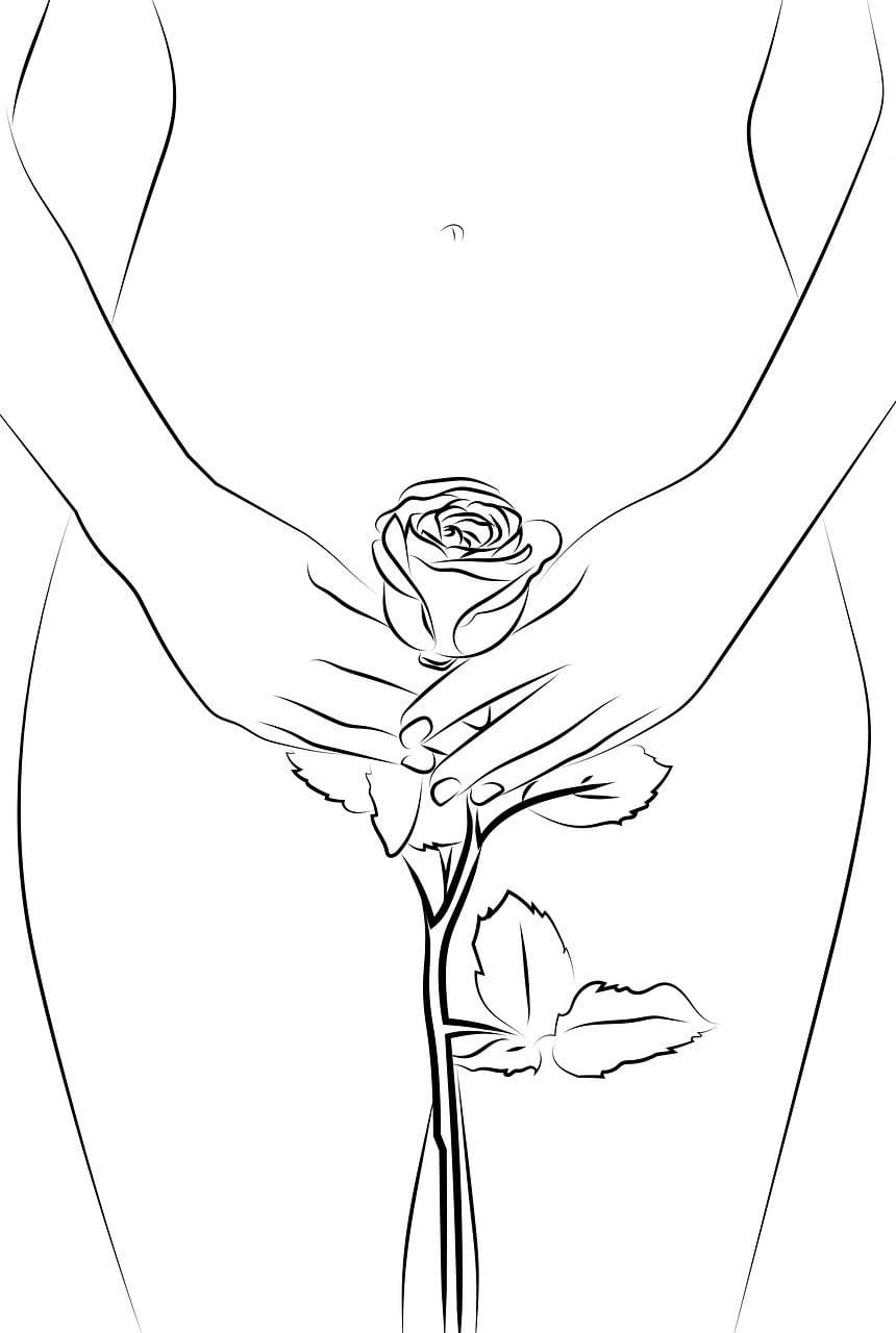 Most Popular Resources For Learning About Womens Health And Wellness