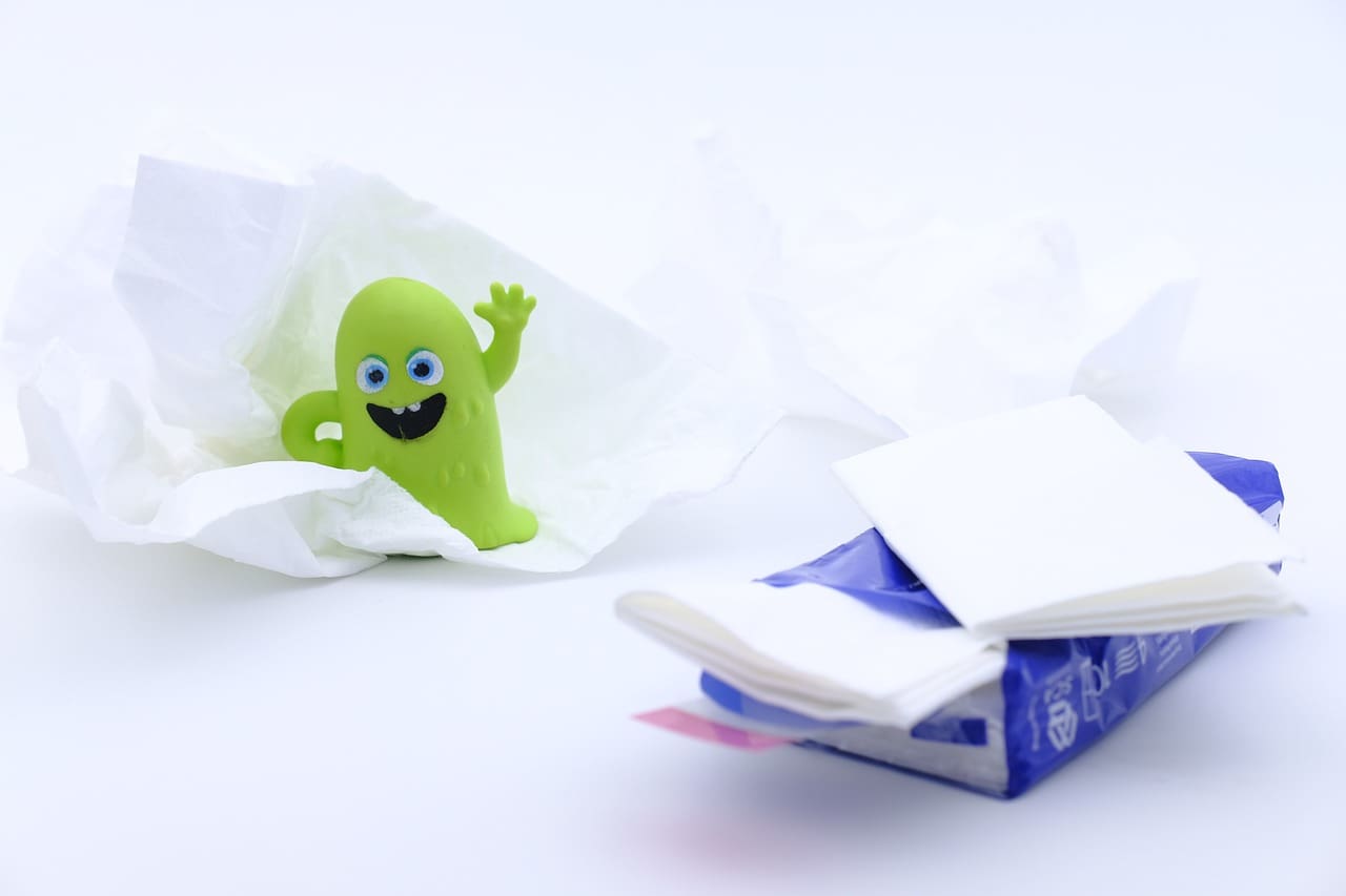 Most Popular Tips For Maintaining A Healthy Immune System In Women