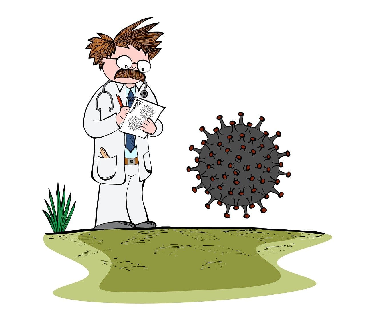 Most Popular Tips For Maintaining A Healthy Immune System In Women