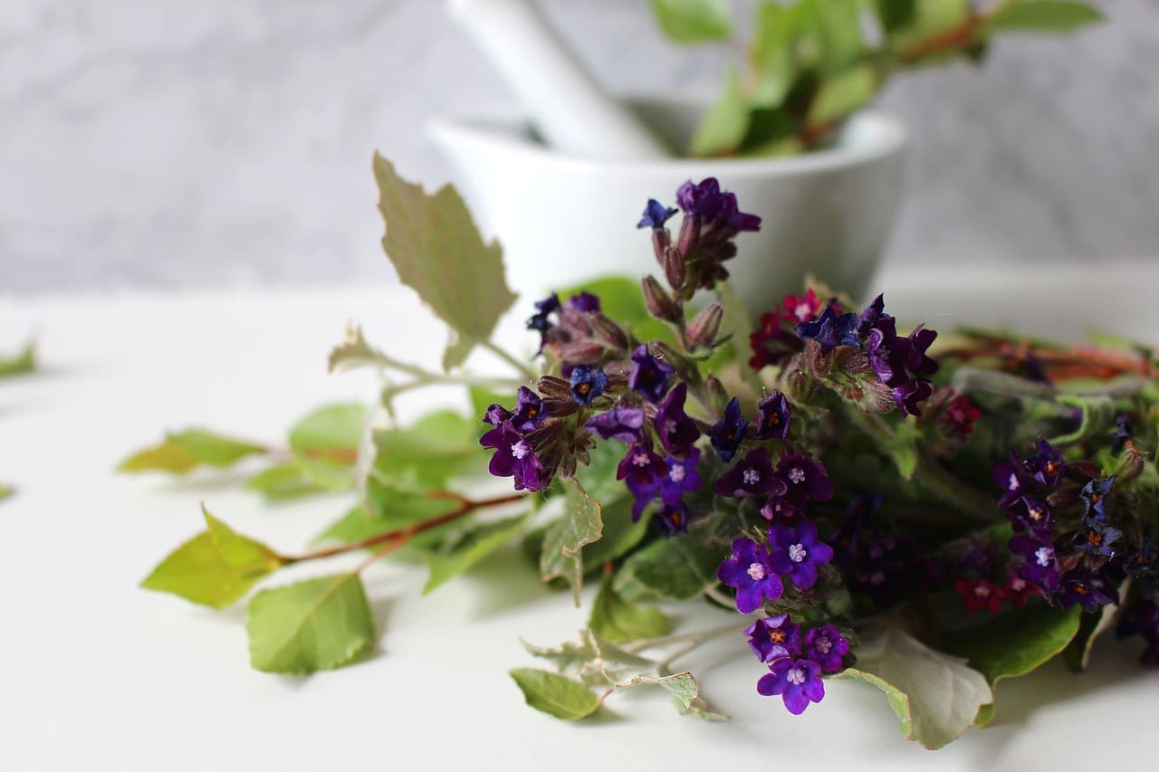 Natural Remedies For Common Cold And Flu