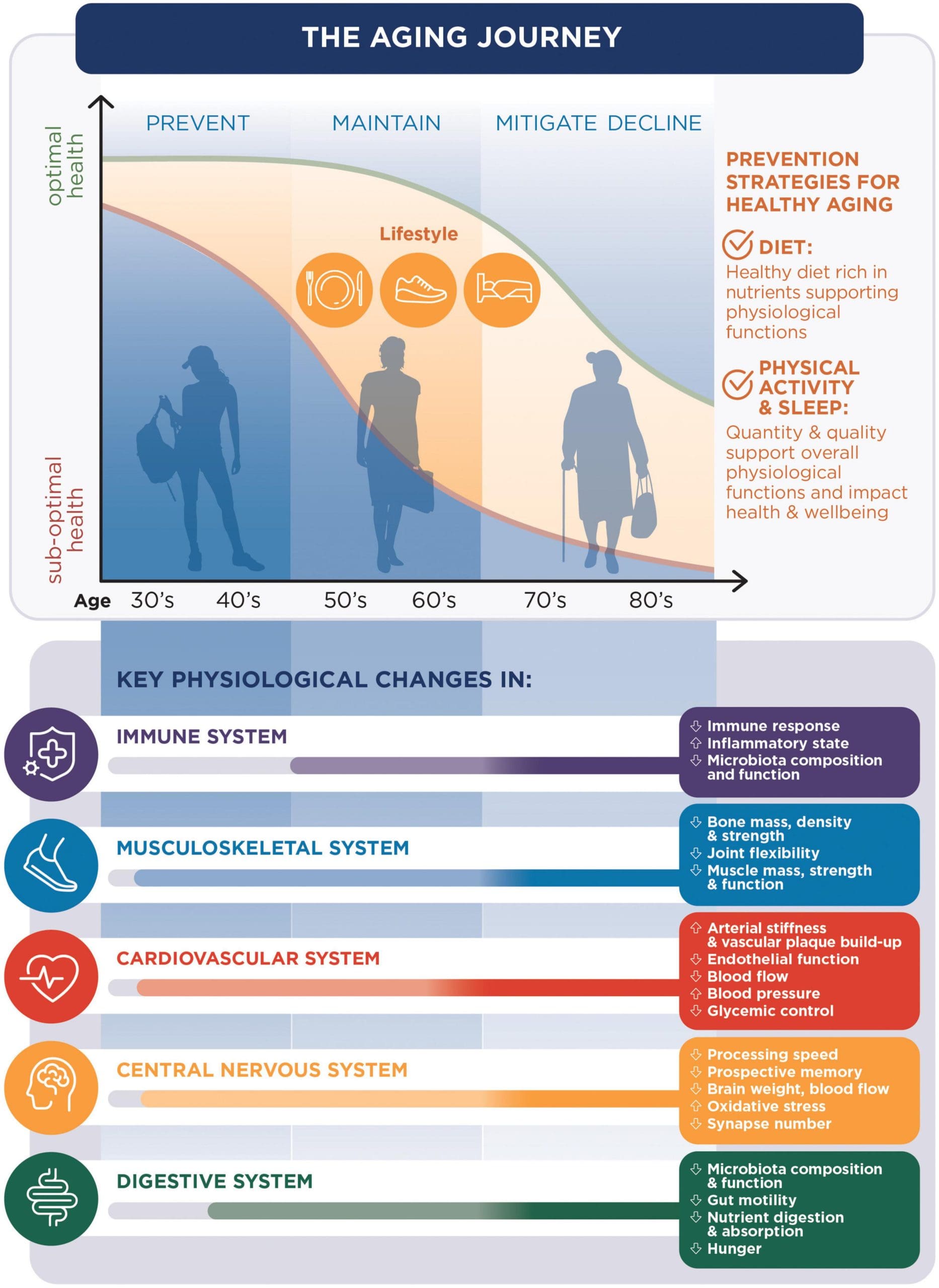 Navigating Transitions In Later Life: Strategies For Healthy Aging