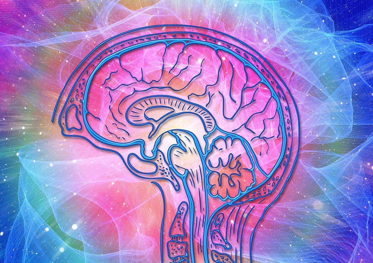 Supporting Your Mental Health Through Cognitive Behavioral Therapy