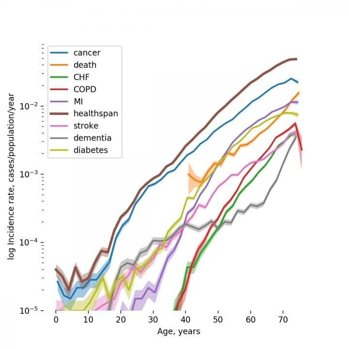 The Impact Of Chronic Diseases On Longevity