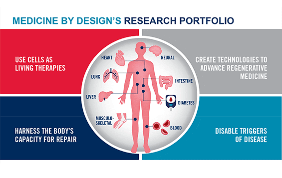 The Impact Of Chronic Diseases On Longevity