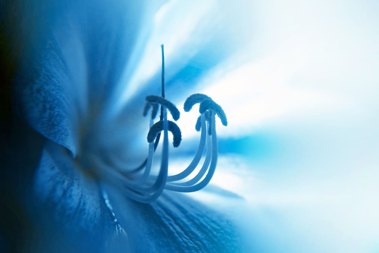 The Impact Of Stigma On Mental Health Policy Advocacy