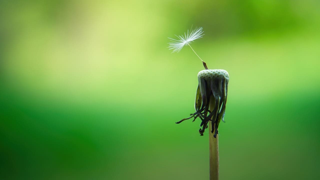 The Power Of Meditation For Mind-Body Wellness