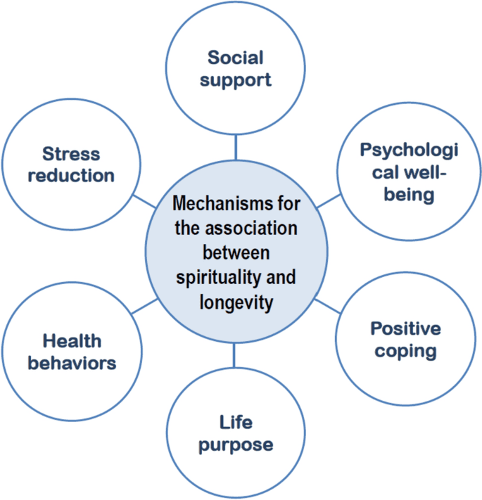 The Role Of Holistic Health In Longevity And Aging Gracefully