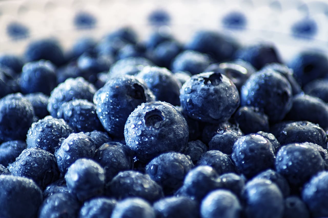 The Role Of Nutrition In Longevity And Healthy Aging
