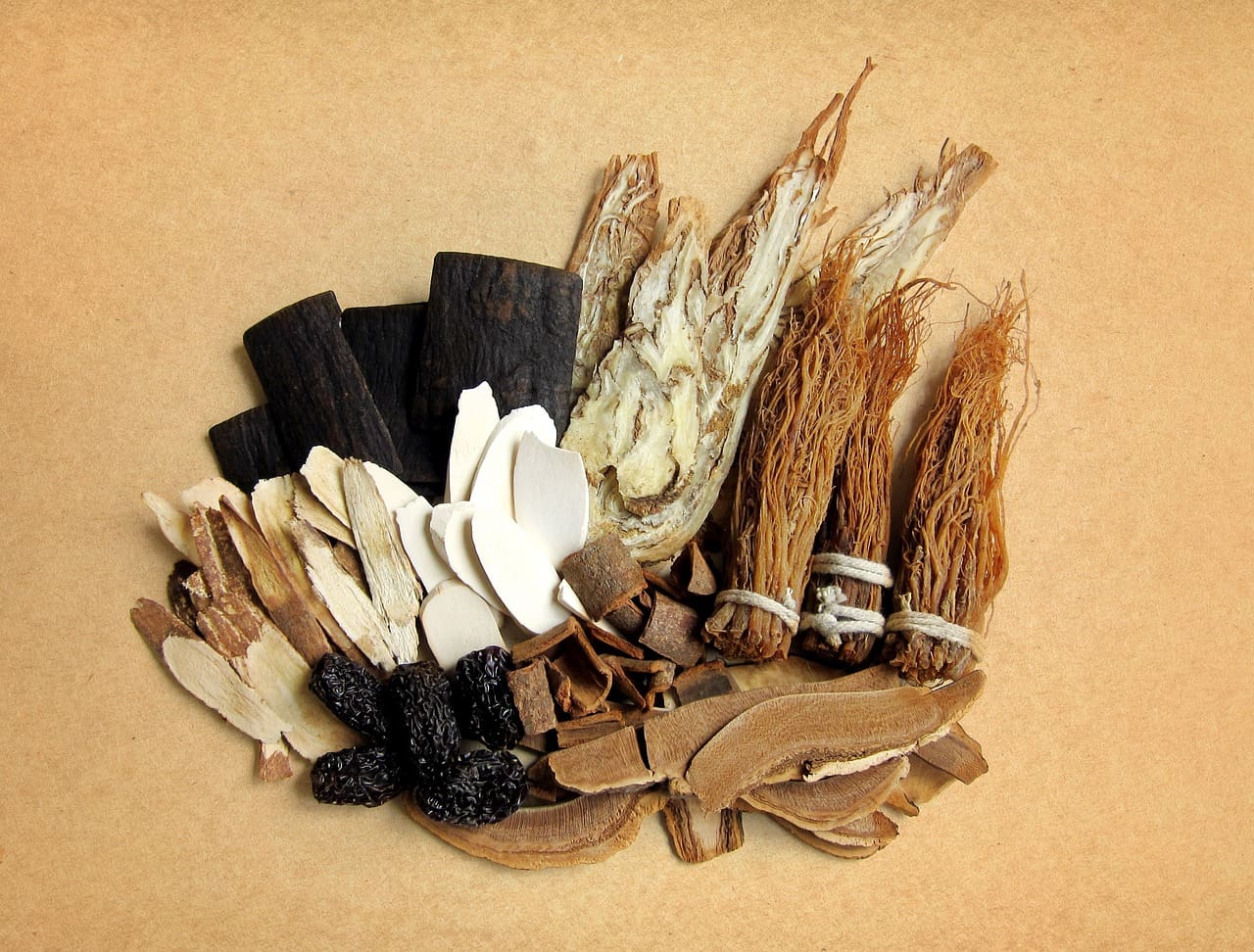 The Science Behind Traditional Chinese Medicine