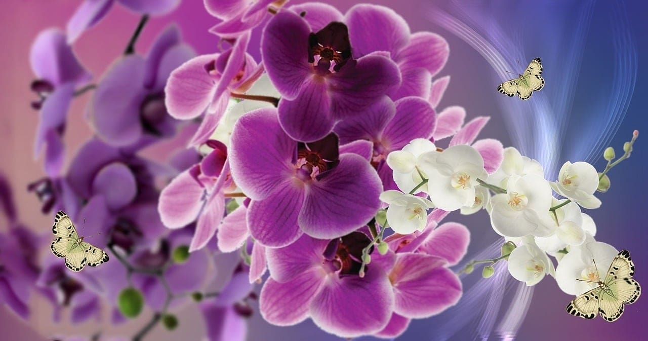 The Ultimate Guide To Female Hormone Imbalance