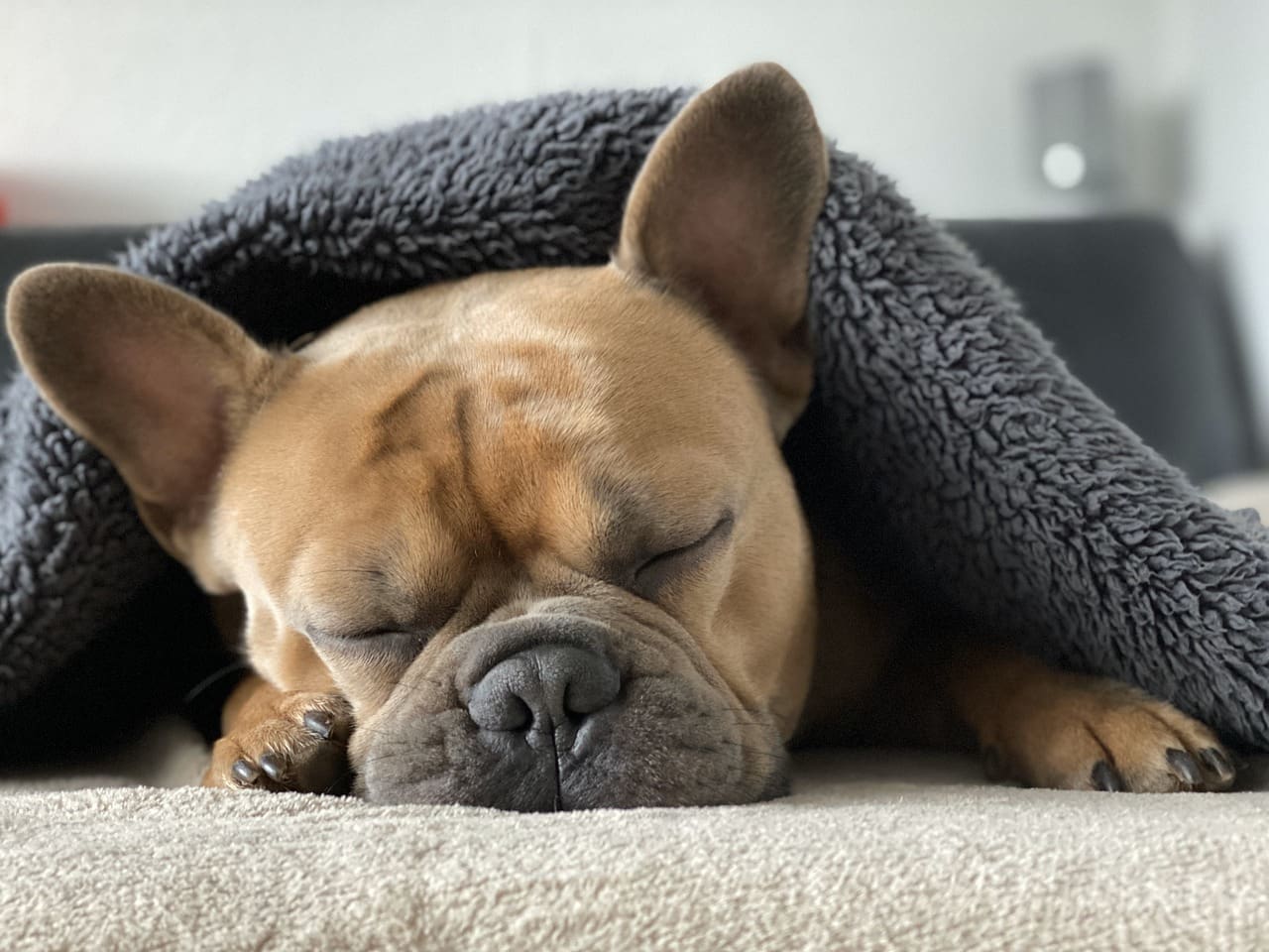 Top 10 Tips For Quality Sleep And Preventive Health Top 10 Tips For Quality Sleep And Preventive Health