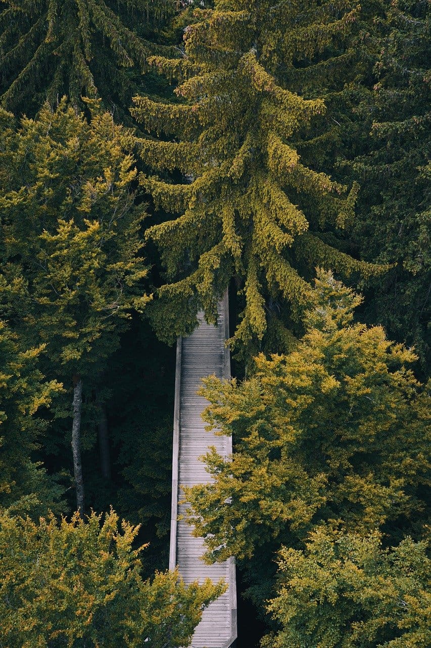 Top 5 Mindfulness Exercises For Stress Reduction