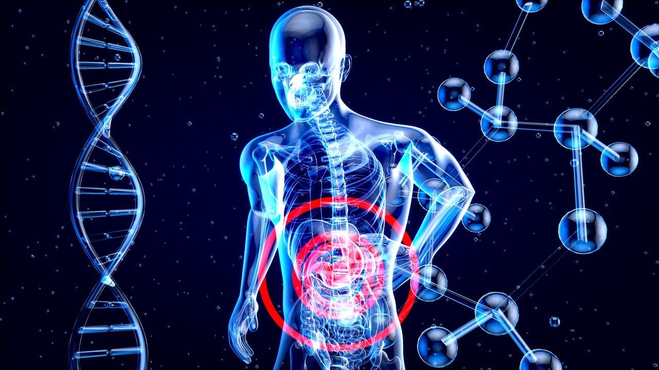 Top Ways To Preventive Health For Digestive Comfort