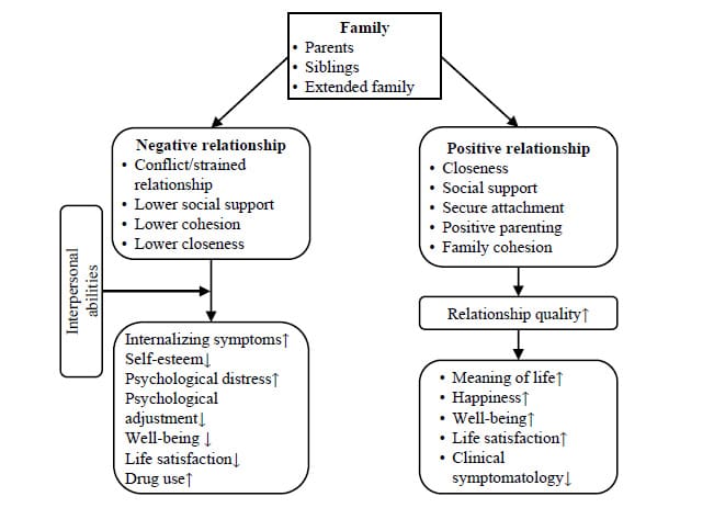Understanding The Role Of Relationships In Mental Health And Well-being