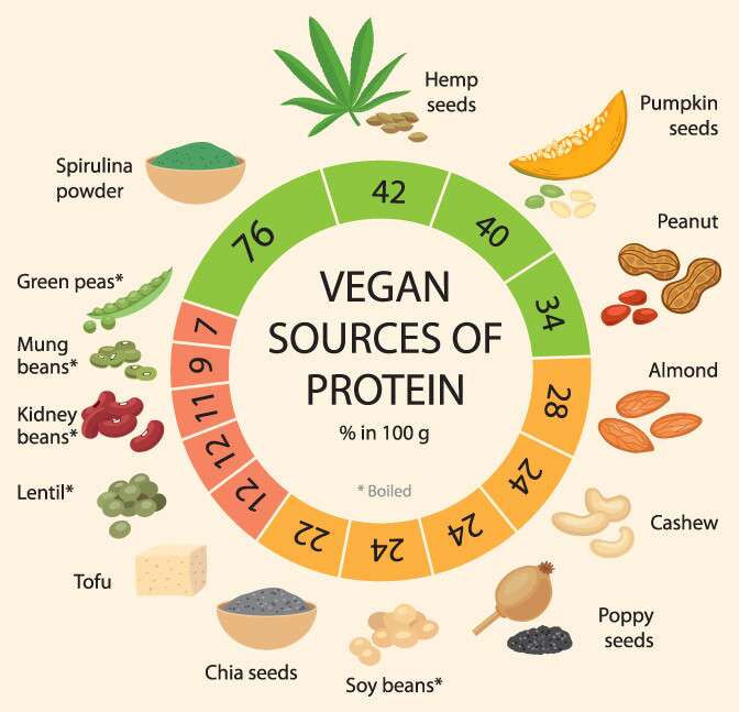 What Are The Best Protein Sources For Vegetarians?