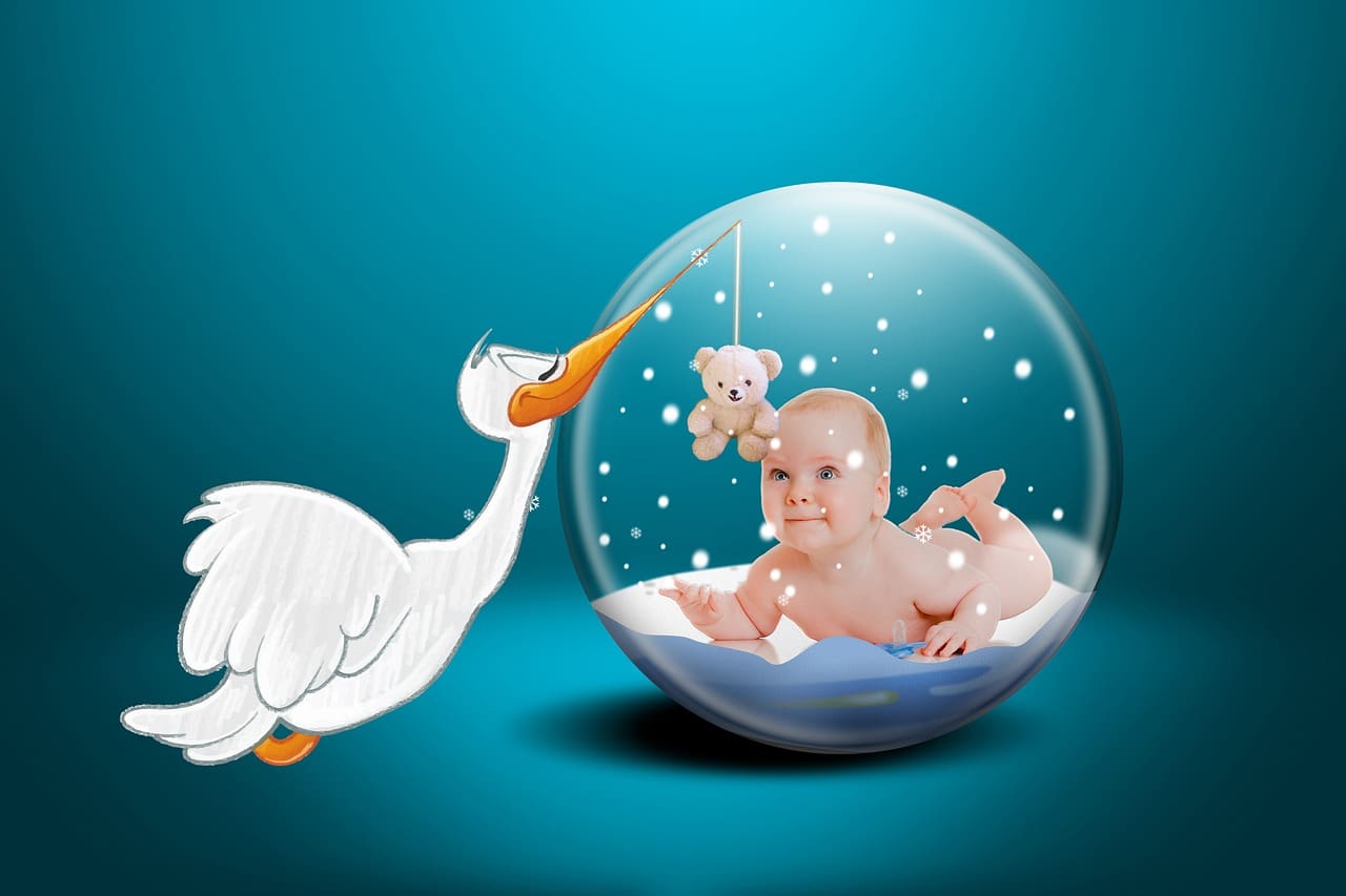 Best Foods For Fertility