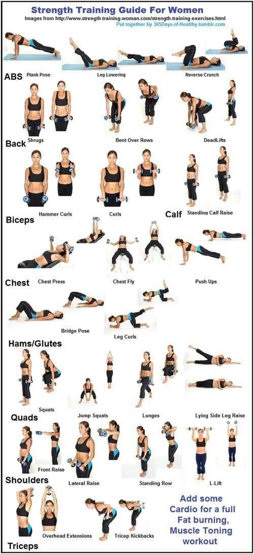Best Workouts For Men’s Strength Training