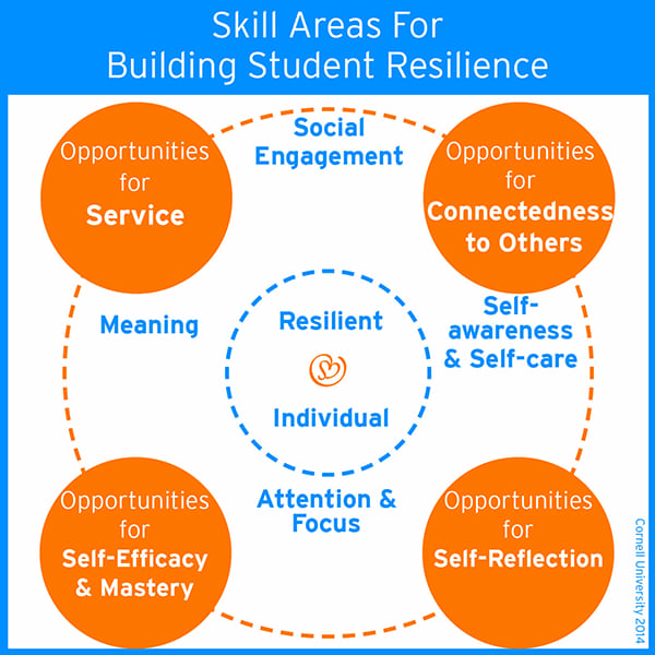 Building Resilience For Mental Health