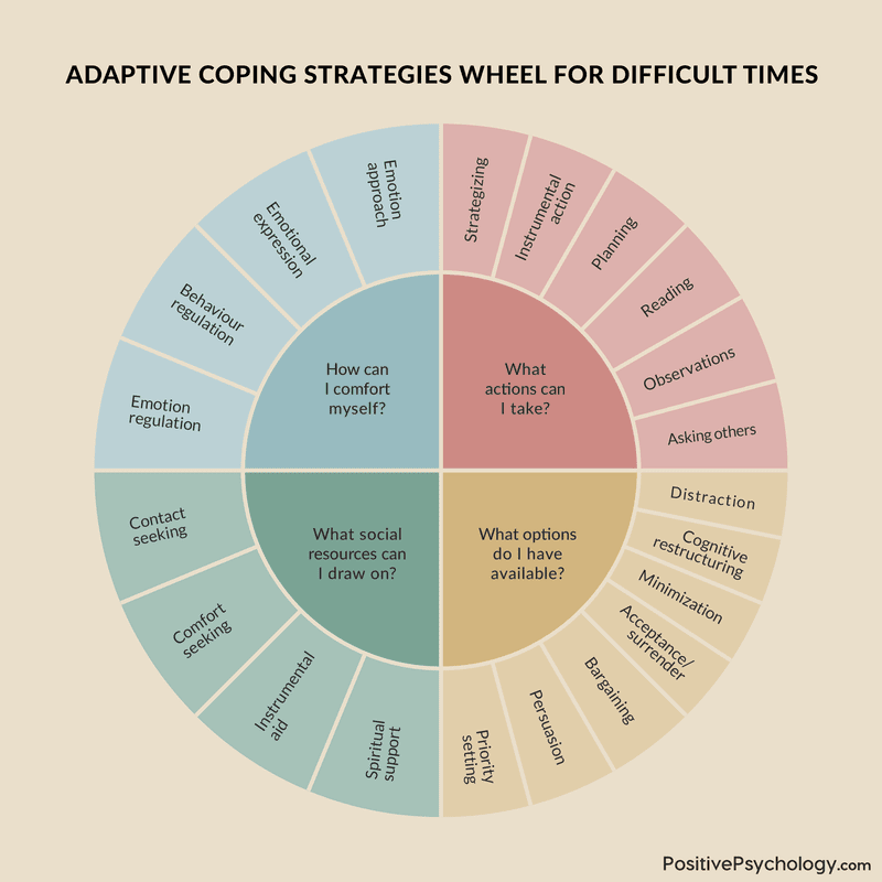 Developing Healthy Coping Strategies For Adversity