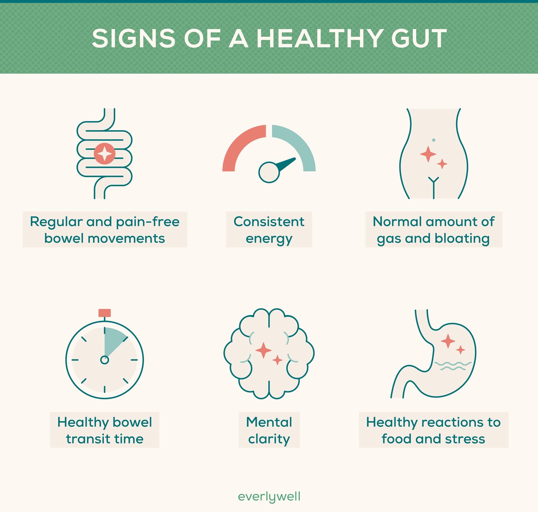 How To Maintain A Healthy Gut Microbiome