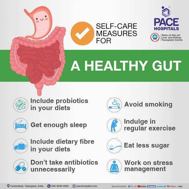 How To Maintain A Healthy Gut Microbiome