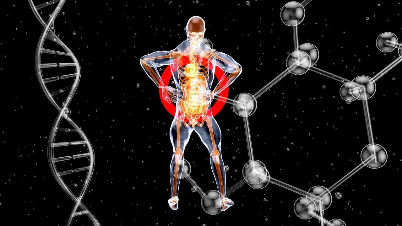 How To Manage And Prevent Back Pain In Men