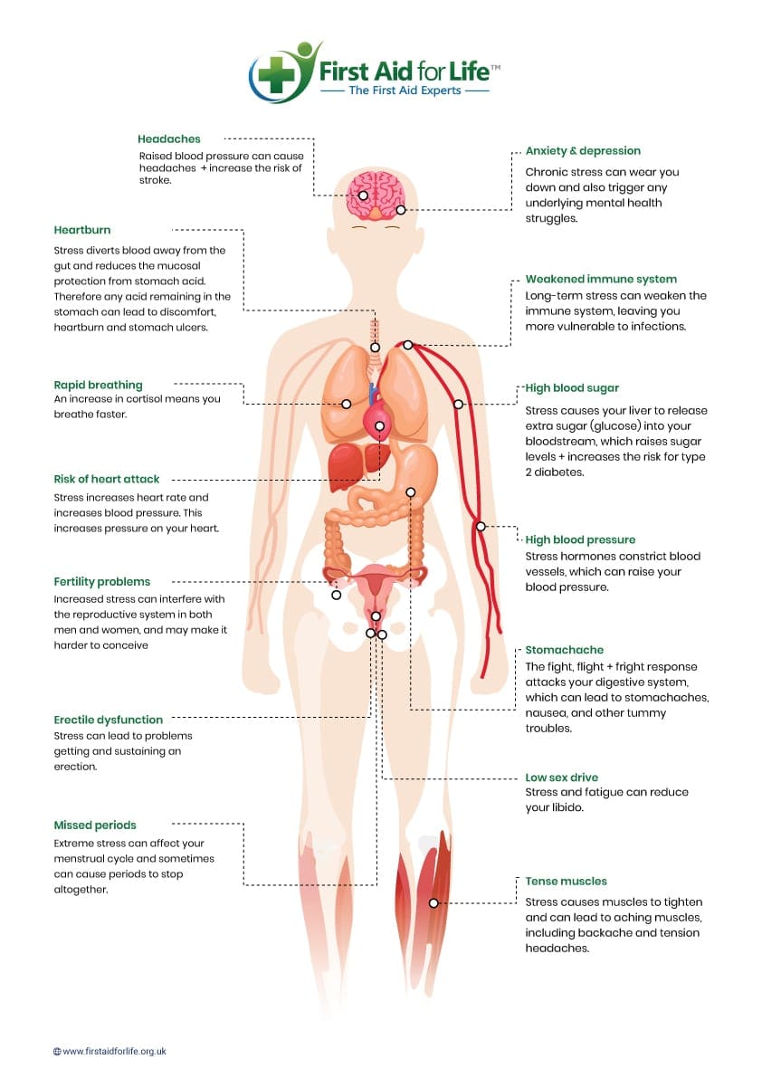 How To Relieve Stress And Anxiety In Men