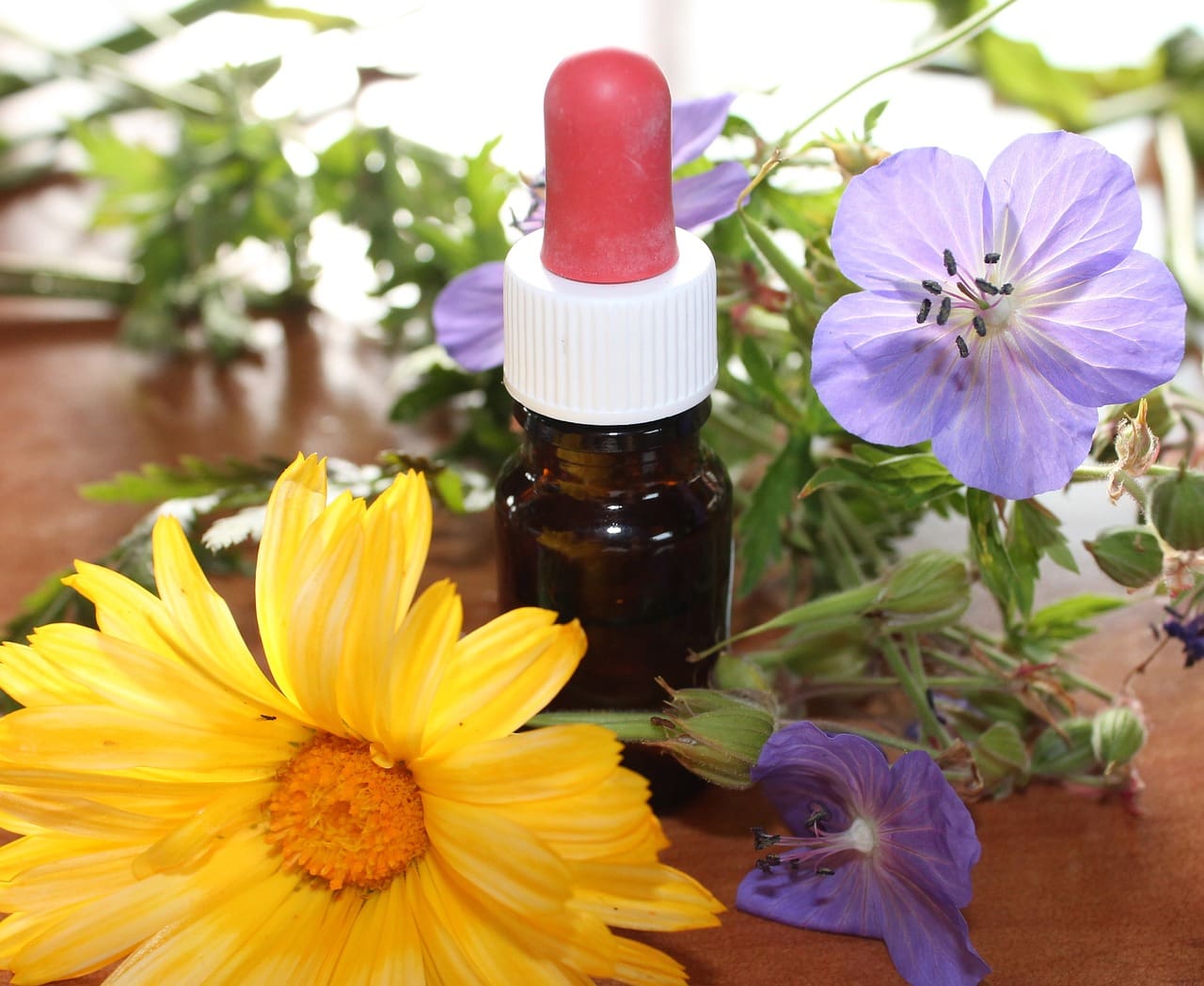 Incorporating Flower Essences Into Holistic Healing Practices
