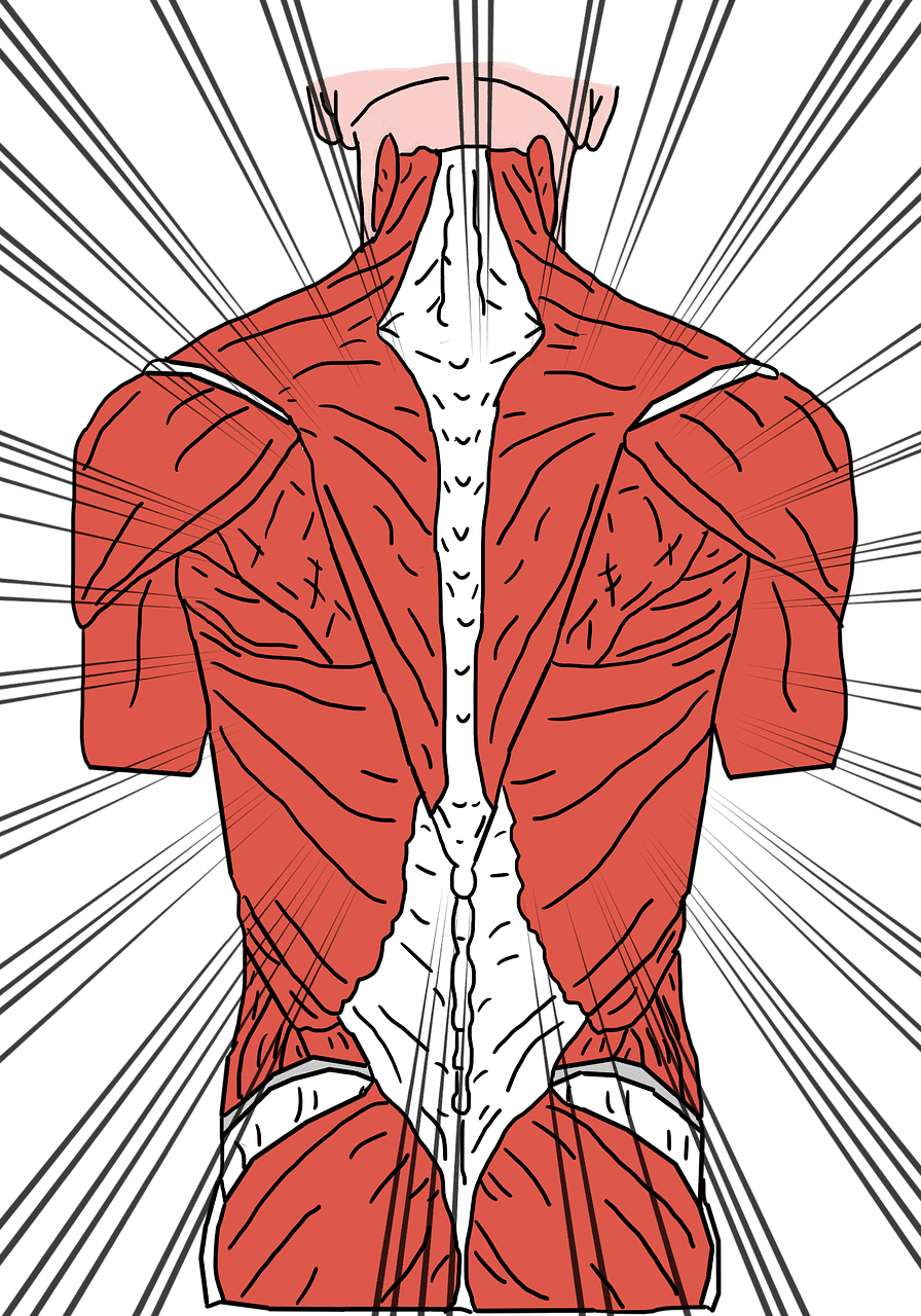 Key Habits For Preventing Back Pain