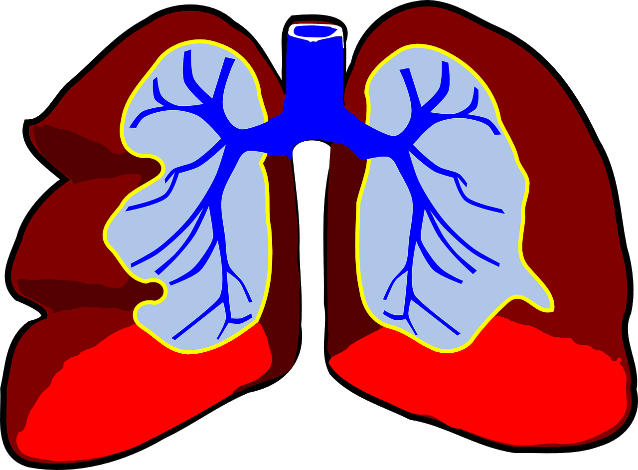Longevity-Boosting Habits For Better Respiratory Health