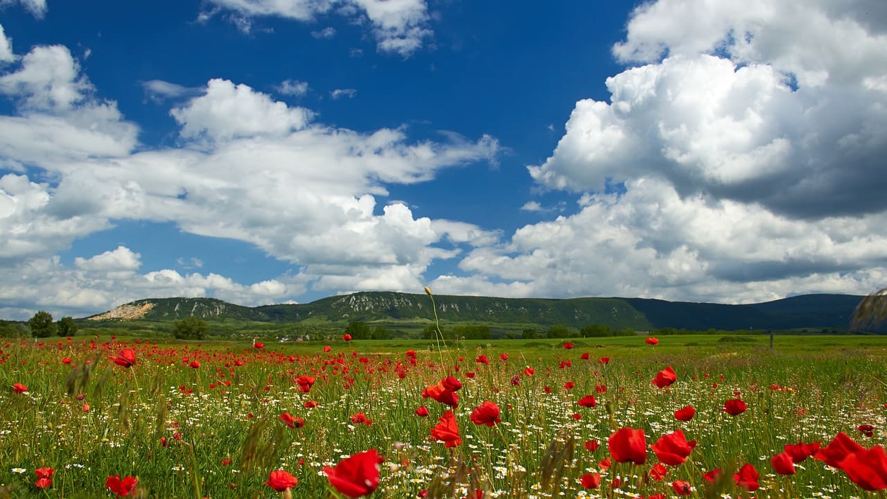 Natural Remedies For Easing Menstrual Cramps