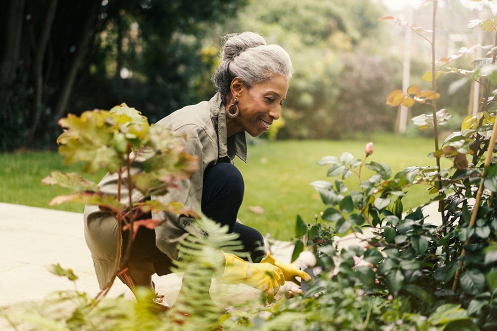 The Impact Of Gardening On Longevity The Impact Of Gardening On Longevity