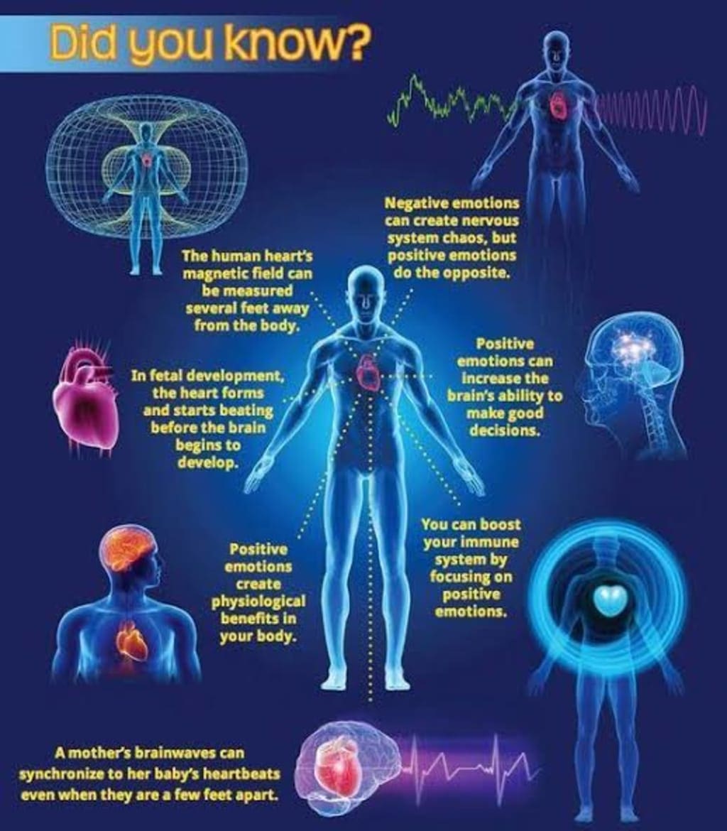 The Impact Of Mind-Body Practices On Longevity