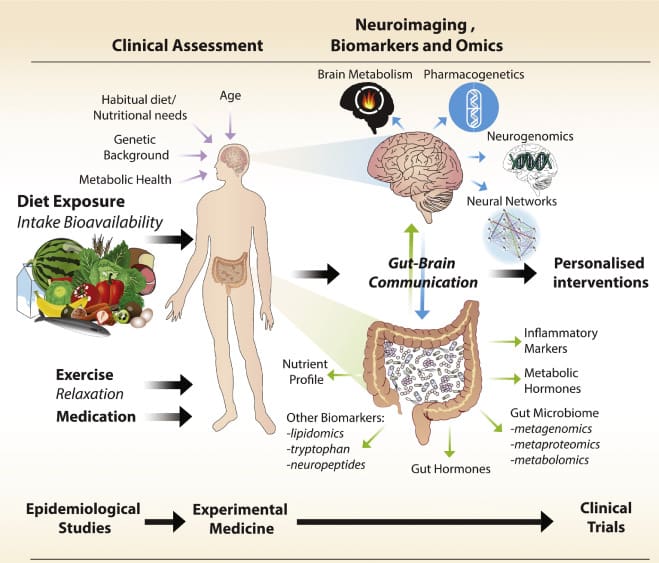 The Impact Of Nutrition On Mental Well-being
