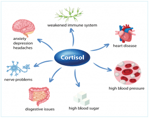 The Impact Of Stress On Womens Hormonal Balance