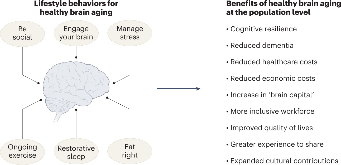 The Importance Of Brain Health For Longevity The Importance Of Brain Health For Longevity