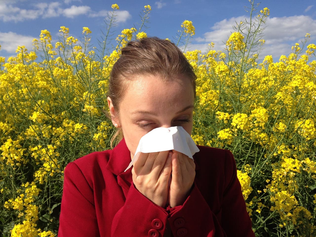 Top Holistic Remedies For Allergies
