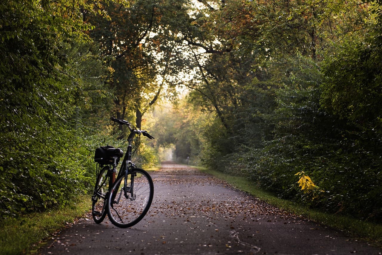 Top Ways To Exercise For Stress Relief And Mental Health