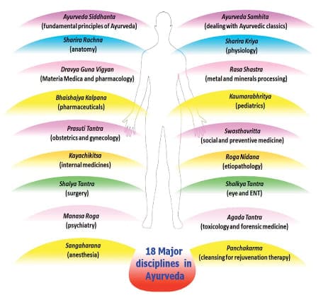 Understanding The Role Of Ayurvedic Practitioners