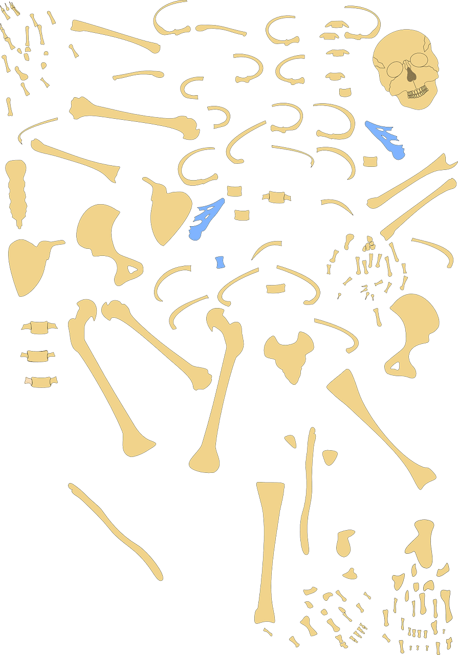 What Are The Best Foods To Support Bone Health And Prevent Osteoporosis?