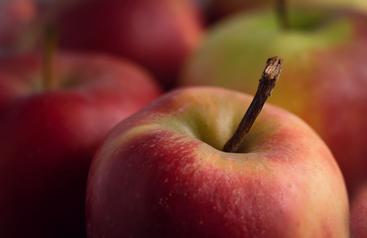10 Ways To Improve Longevity And Quality Of Life