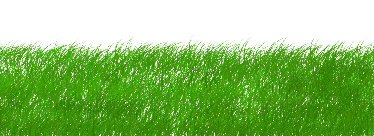 Advocating For Sustainable Healthcare Practices