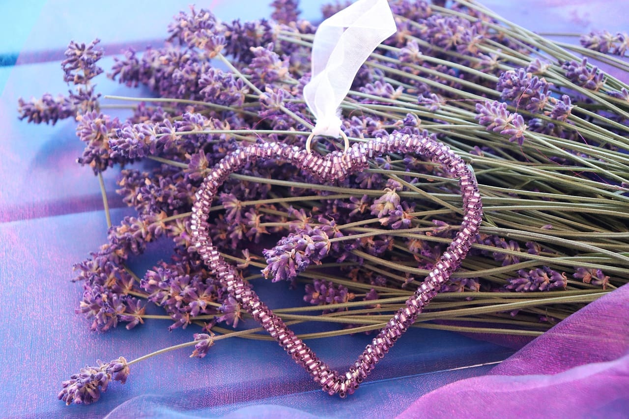 Beginner’s Guide To Essential Oils For Health