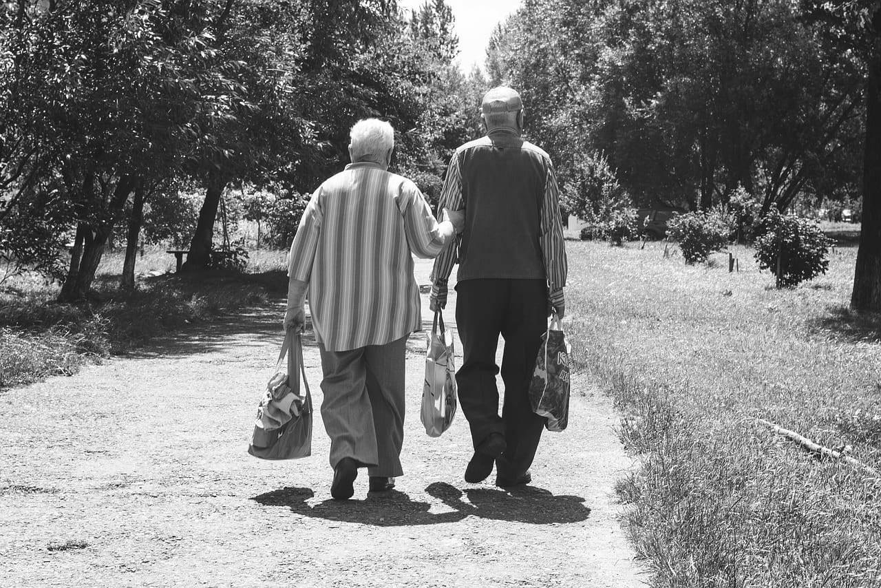 Best Hobbies And Leisure Activities For Longevity