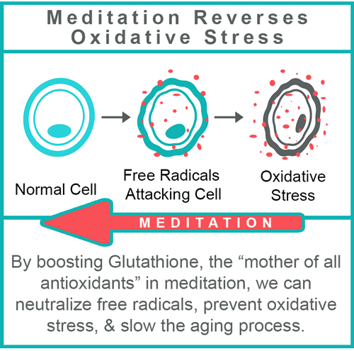 Best Mindfulness Practices For Longevity